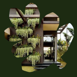 jardim vertical em gramado, dommi paisagismo, paisagismo em gramado, jardinagem em gramado, jardim vertical, jardins de gramado, jardineiro profissional de gramado, paisagista em gramado.